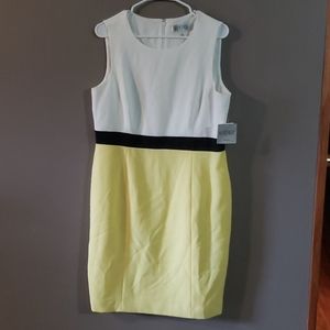 Kasper Sleevless Crepe Sunburst Size 14P